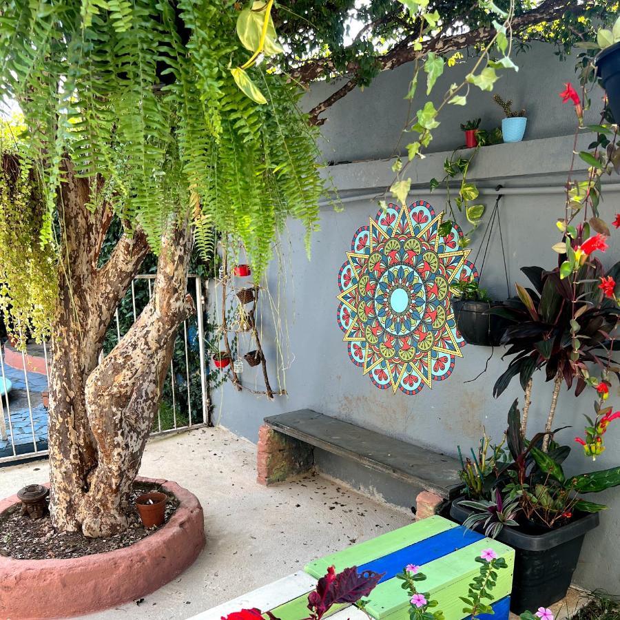 Casa Jardim Hostel Bh - Santa Efigenia - Paraiso ベロ・オリゾンテ エクステリア 写真