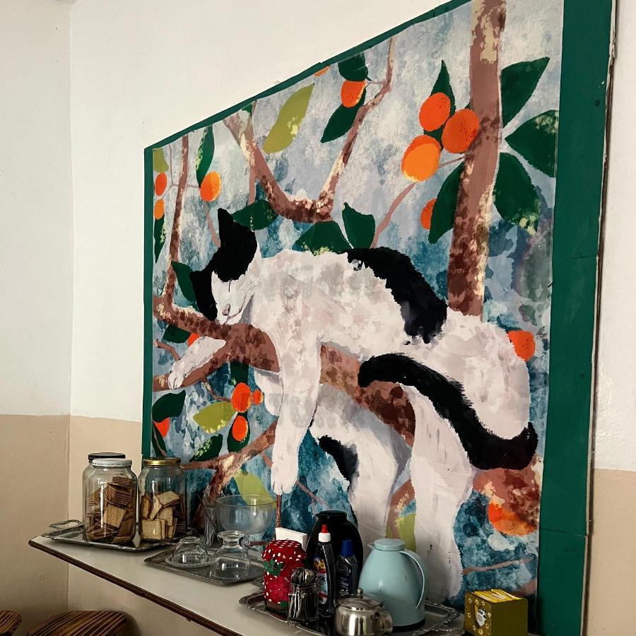 Casa Jardim Hostel Bh - Santa Efigenia - Paraiso ベロ・オリゾンテ エクステリア 写真